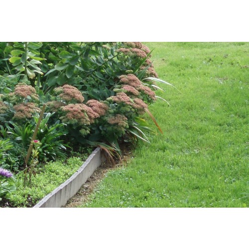 Palisáda 29x2,1x101,4 cm, cihlova